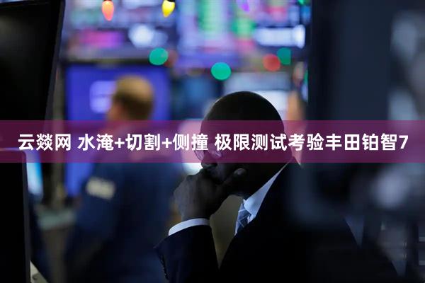 云燚网 水淹+切割+侧撞 极限测试考验丰田铂智7