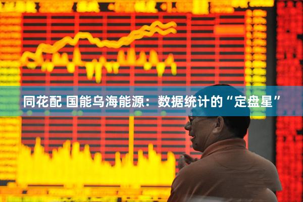 同花配 国能乌海能源：数据统计的“定盘星”