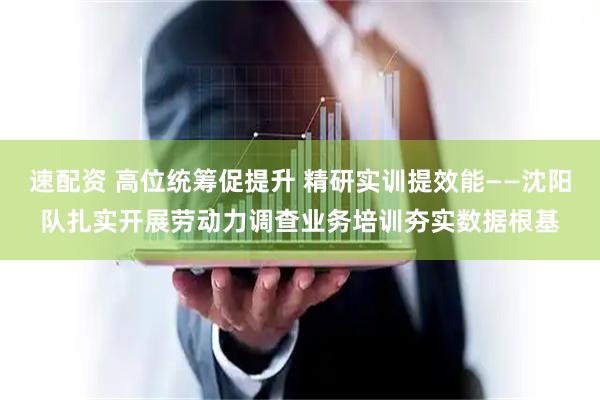 速配资 高位统筹促提升 精研实训提效能——沈阳队扎实开展劳动力调查业务培训夯实数据根基
