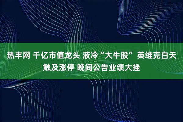 热丰网 千亿市值龙头 液冷“大牛股” 英维克白天触及涨停 晚间公告业绩大挫