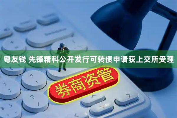 粤友钱 先锋精科公开发行可转债申请获上交所受理