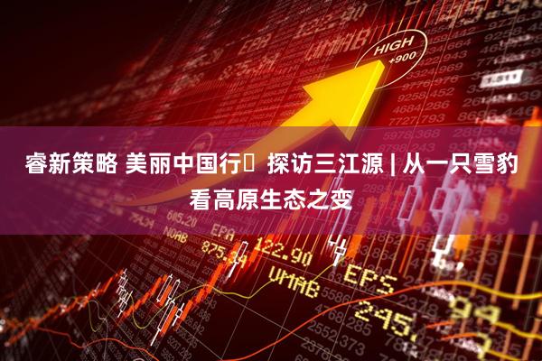 睿新策略 美丽中国行・探访三江源 | 从一只雪豹看高原生态之变