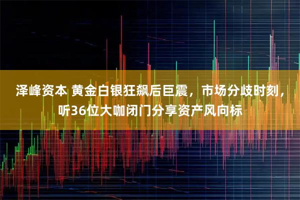 泽峰资本 黄金白银狂飙后巨震，市场分歧时刻，听36位大咖闭门分享资产风向标