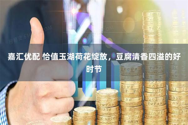 嘉汇优配 恰值玉湖荷花绽放，豆腐清香四溢的好时节