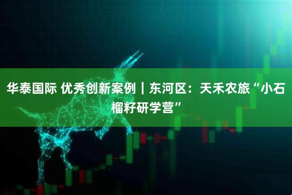 华泰国际 优秀创新案例｜东河区：天禾农旅“小石榴籽研学营”