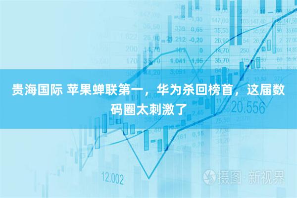 贵海国际 苹果蝉联第一，华为杀回榜首，这届数码圈太刺激了