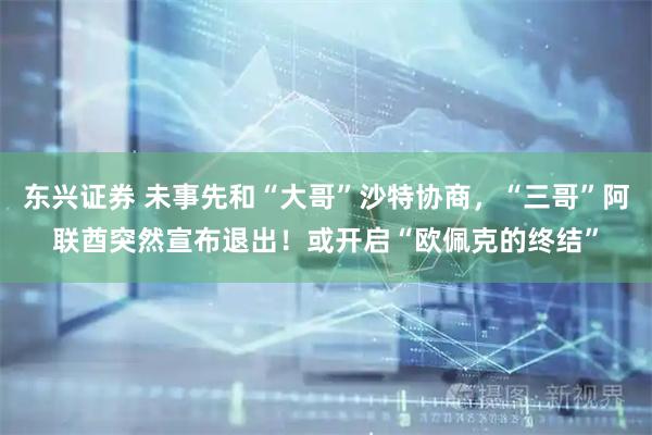 东兴证券 未事先和“大哥”沙特协商，“三哥”阿联酋突然宣布退出！或开启“欧佩克的终结”