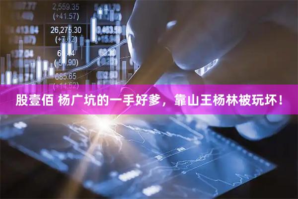 股壹佰 杨广坑的一手好爹,靠山王杨林被玩坏!