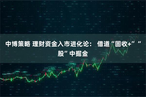 中博策略 理财资金入市进化论： 借道“固收+”“股”中掘金