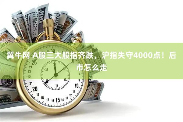 翼牛网 A股三大股指齐跌，沪指失守4000点！后市怎么走