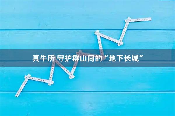 真牛所 守护群山间的“地下长城”
