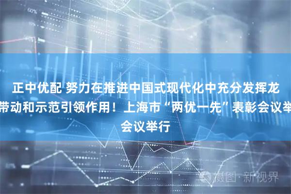 正中优配 努力在推进中国式现代化中充分发挥龙头带动和示范引领作用！上海市“两优一先”表彰会议举行
