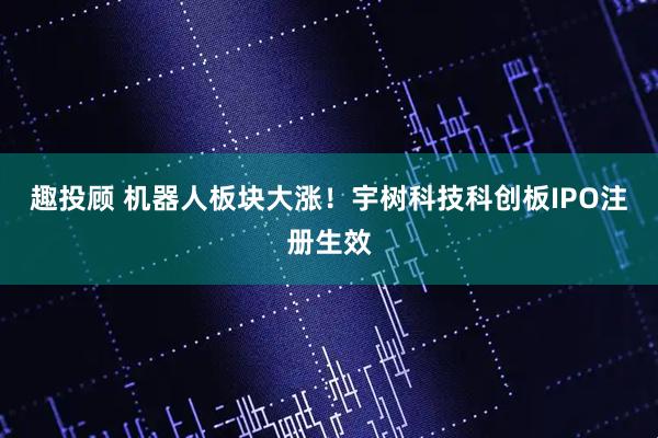 趣投顾 机器人板块大涨!宇树科技科创板IPO注册生效