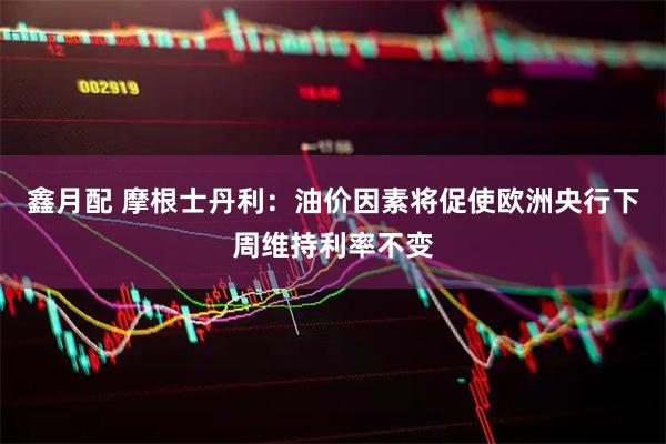 鑫月配 摩根士丹利：油价因素将促使欧洲央行下周维持利率不变