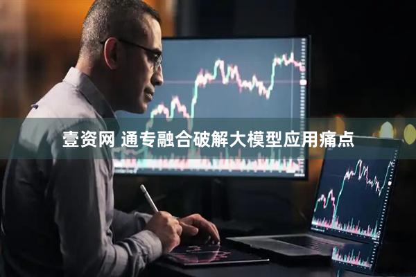 壹资网 通专融合破解大模型应用痛点